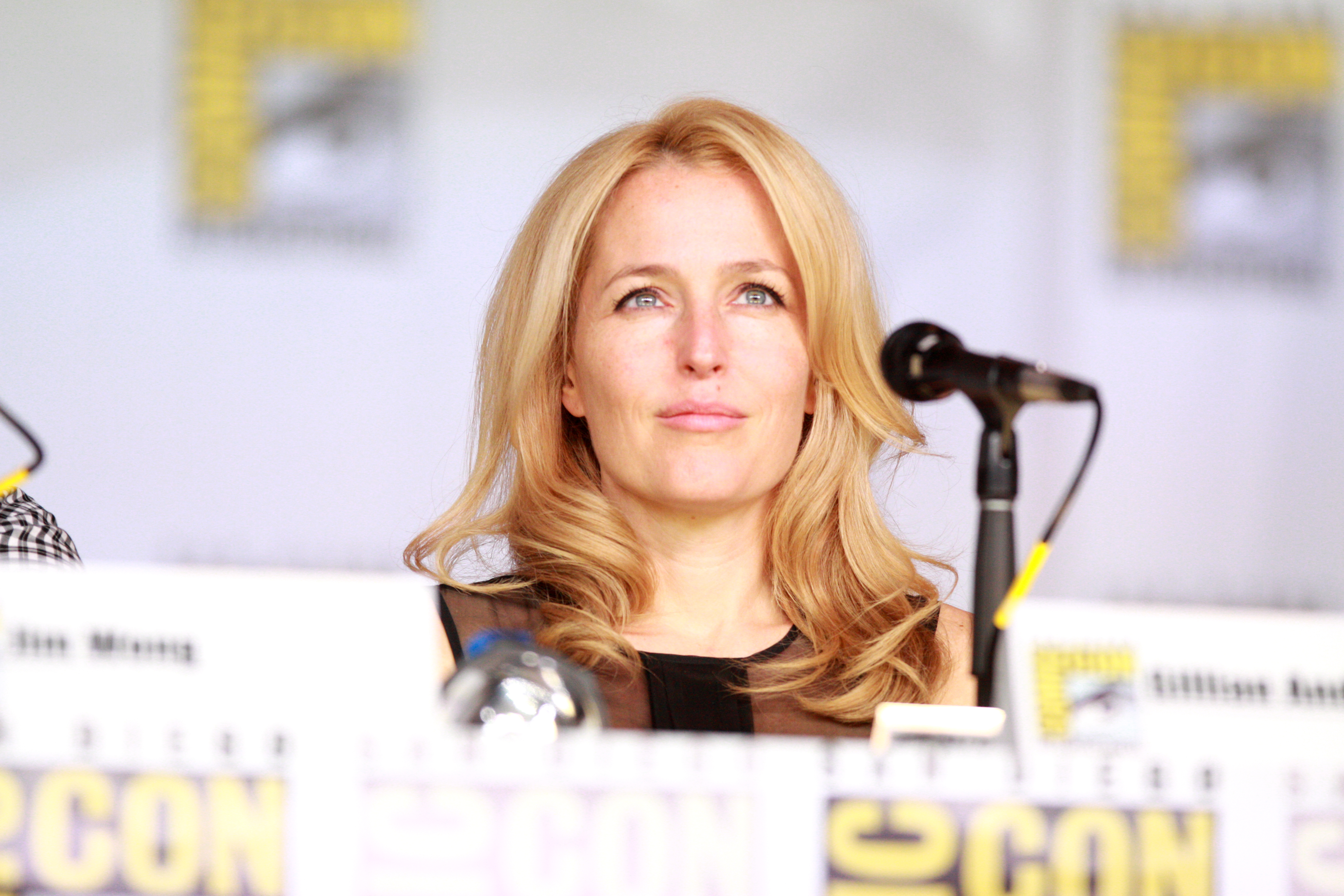 Gillian Anderson 377